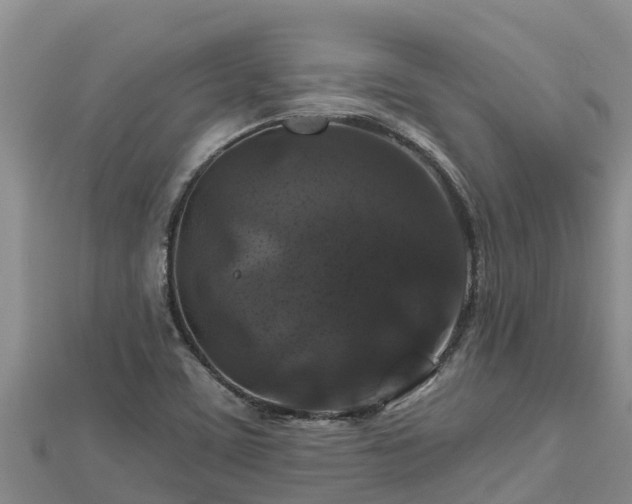 X0000112801459200908281518