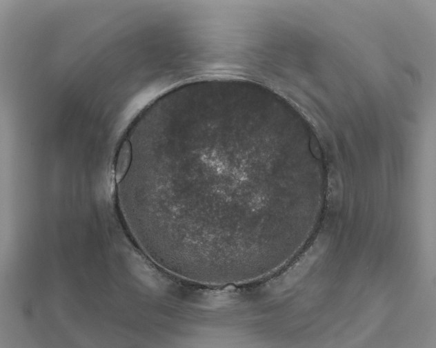 X0000112801461200908281518