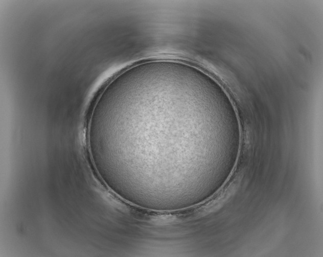 X0000112801462200908281518