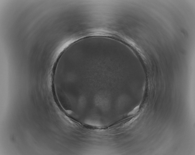 X0000112801463200908281518