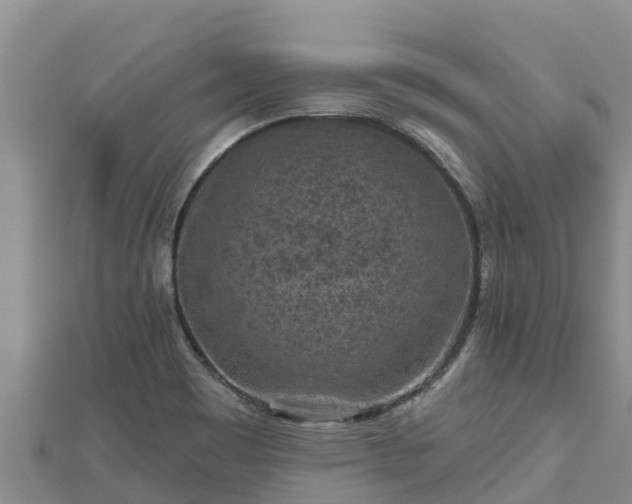 X0000112801465200908281518