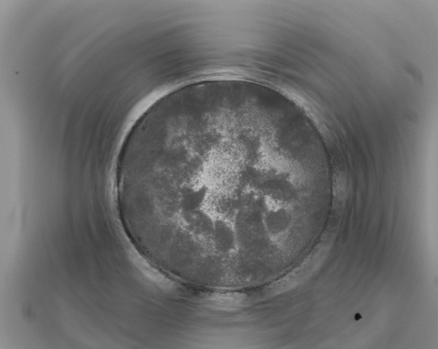 X0000112801466200908281518