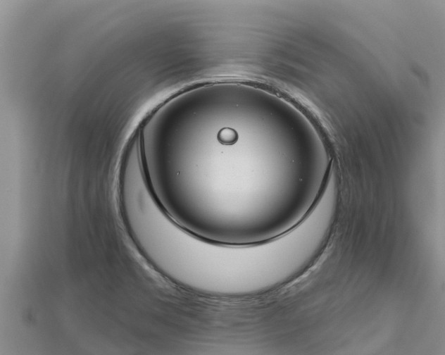 X0000112801469200908281518