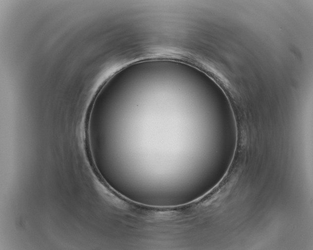 X0000112801471200908281518