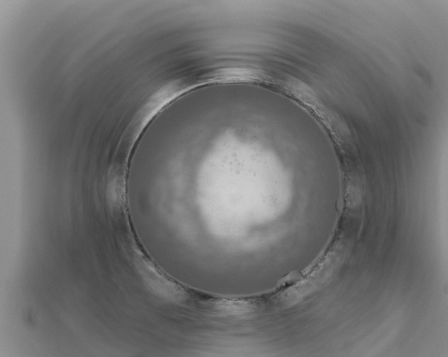 X0000112801473200908281518