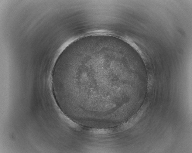 X0000112801474200908281518
