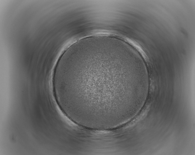 X0000112801475200908281518