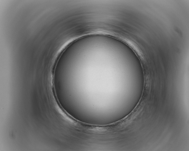 X0000112801476200908281517