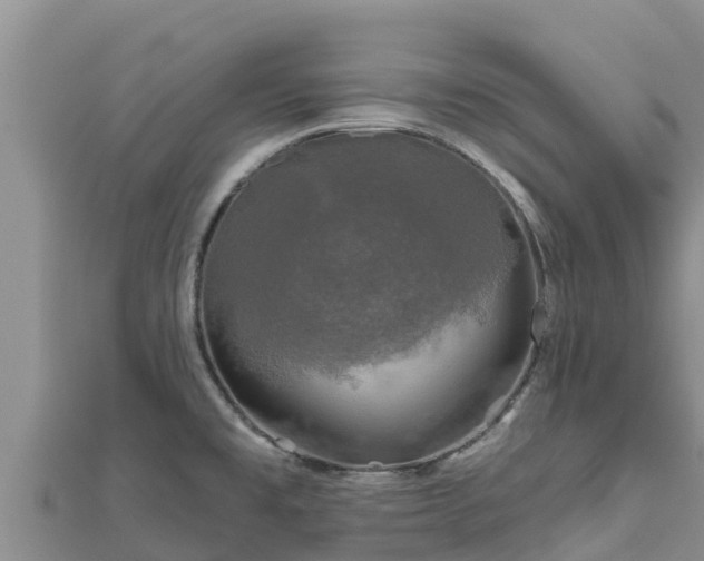 X0000112801477200908281517