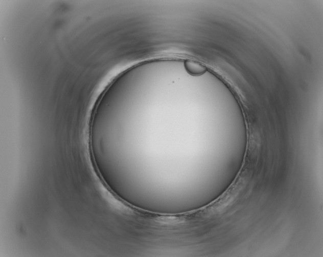 X0000112801478200908281517