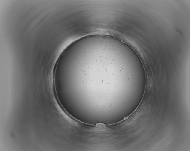 X0000112801479200908281517