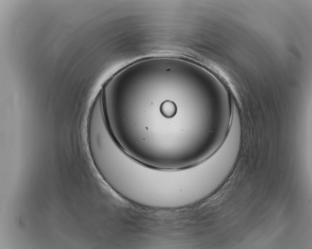 X0000112801480200908281517