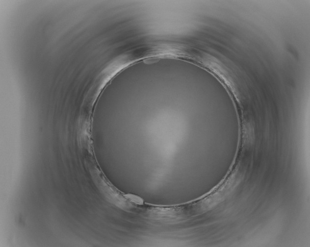 X0000112801481200908281517
