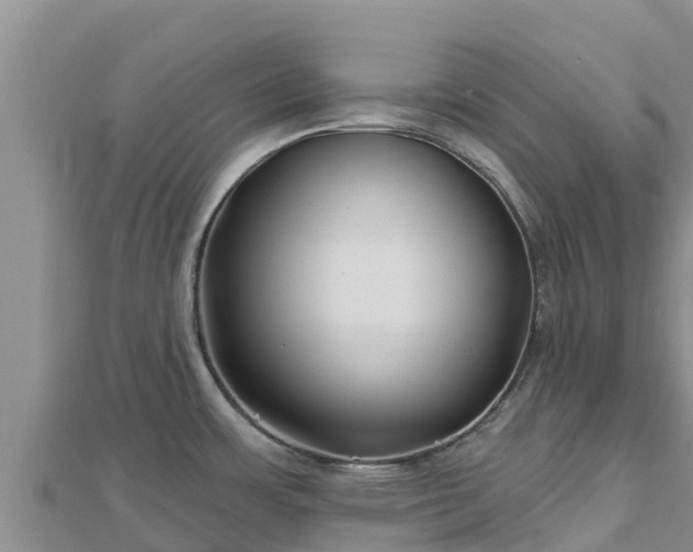 X0000112801483200908281517