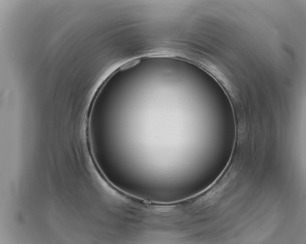 X0000112801484200908281517