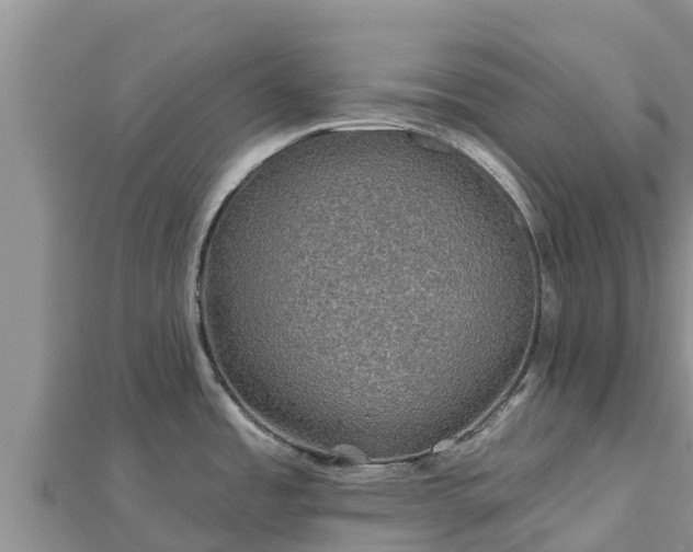 X0000112801485200908281517