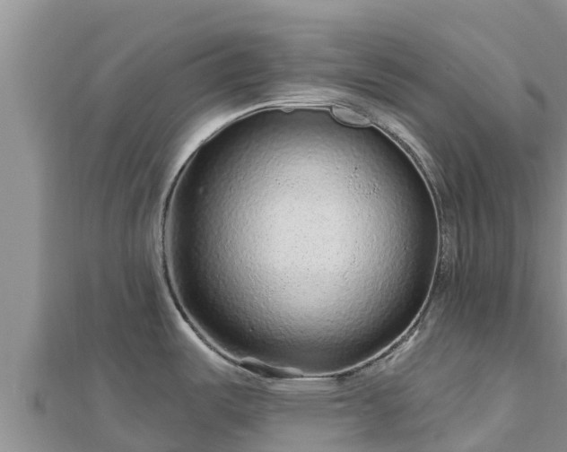 X0000112801487200908281517