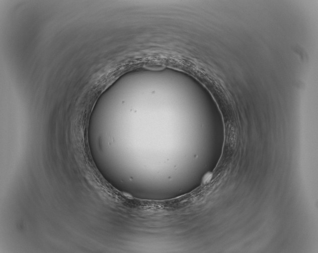X0000112801489200908281517