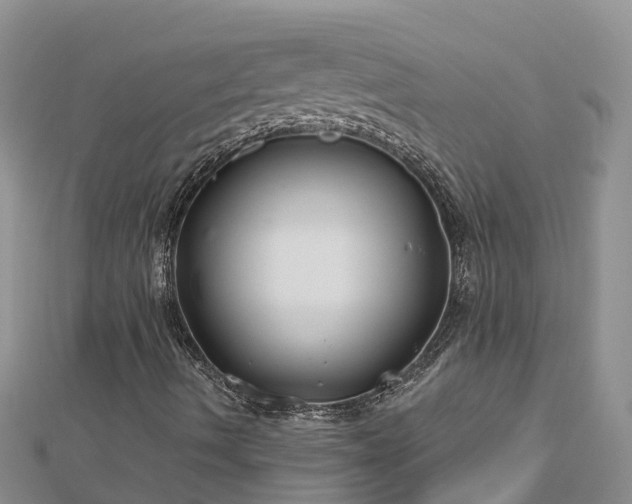 X0000112801490200908281517