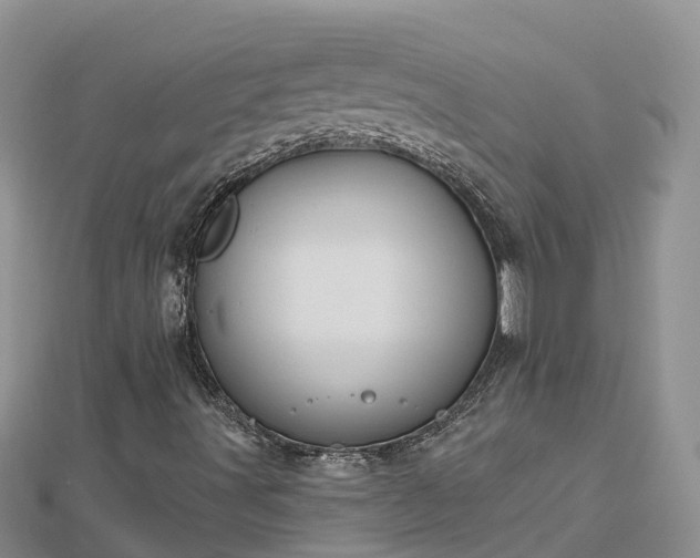X0000112801491200908281517