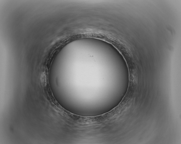 X0000112801493200908281517