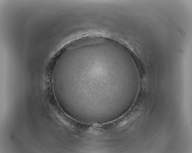 X0000112801496200908281517