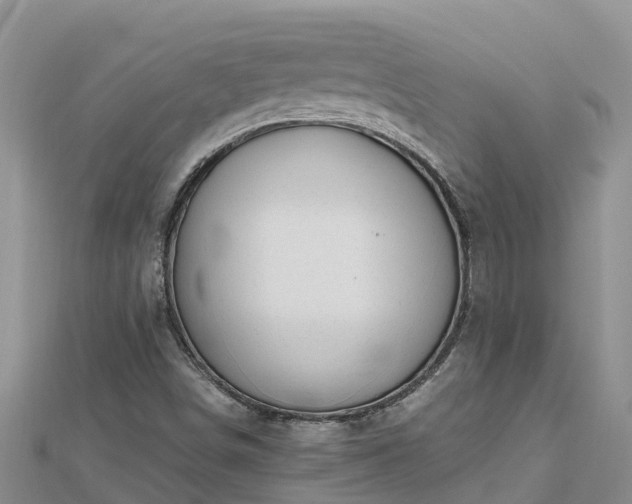 X0000112801498200908281517