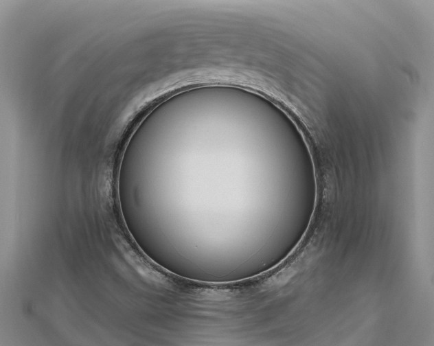 X0000112801499200908281517