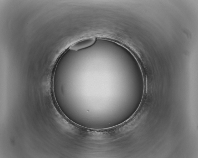 X0000112801500200908281517