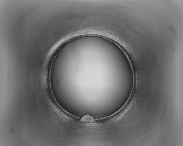X0000112801502200908281517