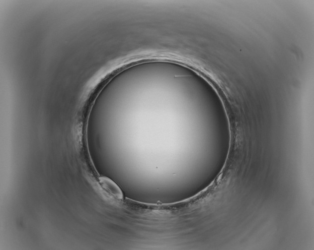 X0000112801503200908281517