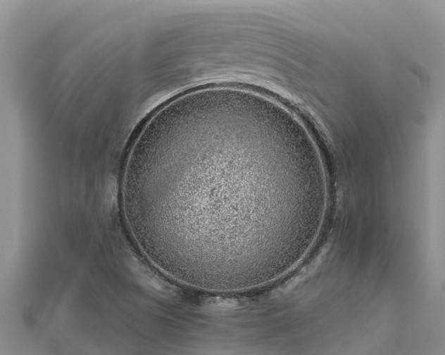 X0000112801505200908281517