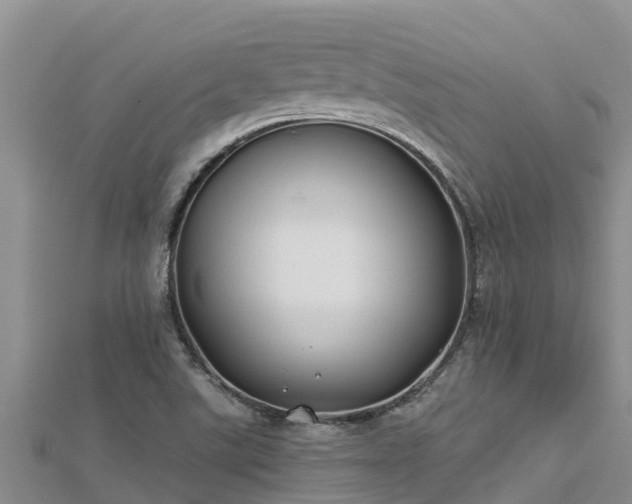 X0000112801507200908281517