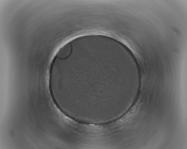 X0000112801508200908281517