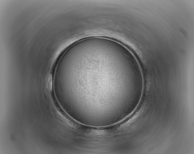 X0000112801509200908281517
