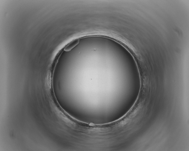 X0000112801510200908281517