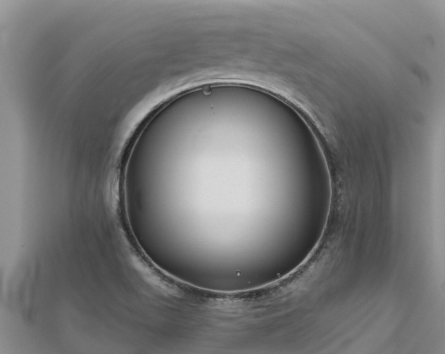 X0000112801511200908281517