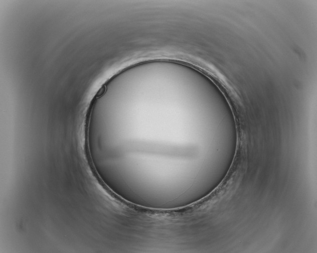 X0000112801512200908281517