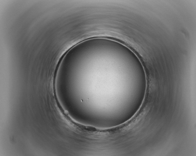 X0000112801513200908281517