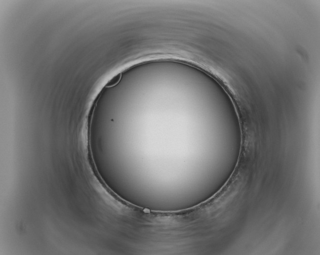 X0000112801516200908281517