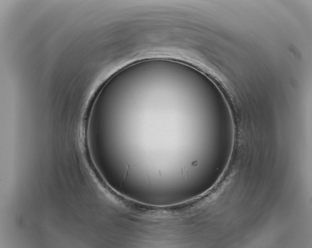 X0000112801517200908281517