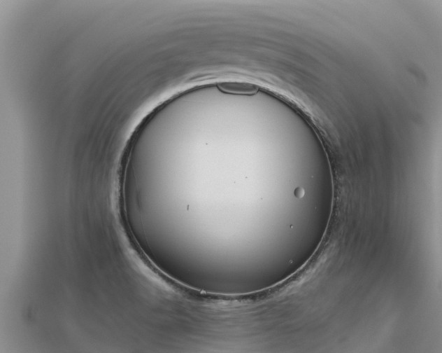 X0000112801518200908281517