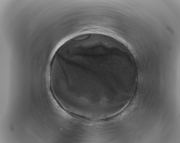 X0000112801522200908281517