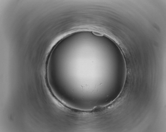 X0000112801523200908281517