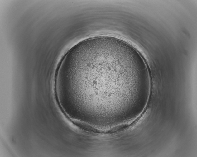 X0000112801525200908281517