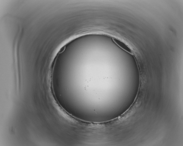 X0000112801526200908281517