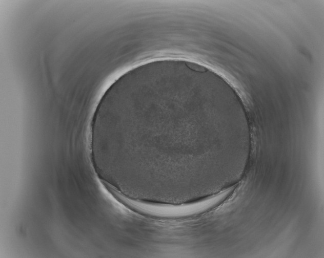 X0000112801527200908281517