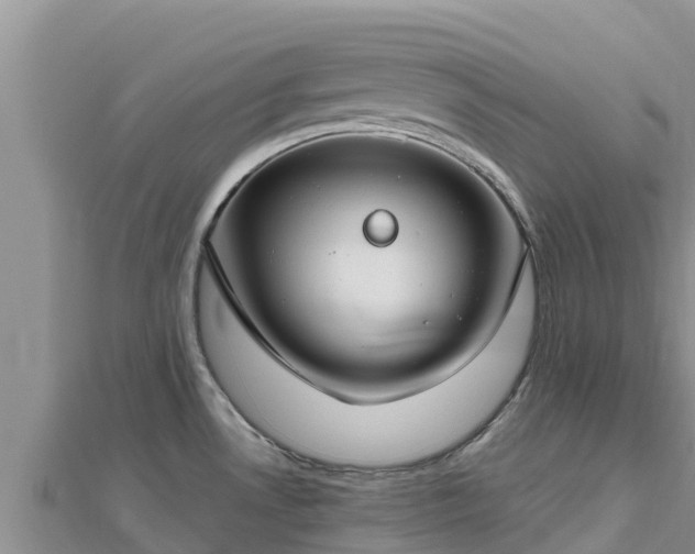 X0000112801530200908281517