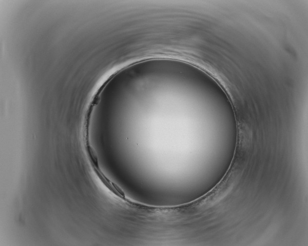 X0000112801531200908281517
