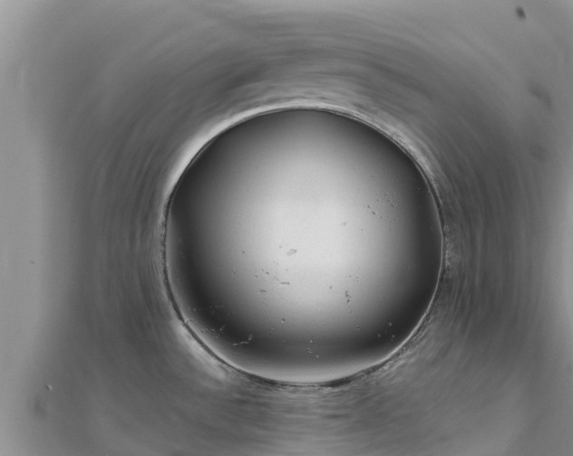 X0000112801532200908281517